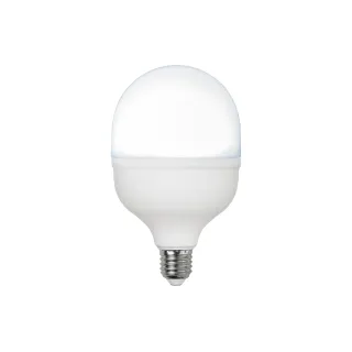 Star Trading Lampe LED High Lumen, 30 W, E27, Blanc lumière du jour (blanc froid)