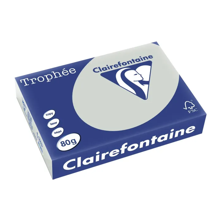 Clairefontaine Papier pour photocopie Trophée A4, 80 g-m², gris, 500 feuilles