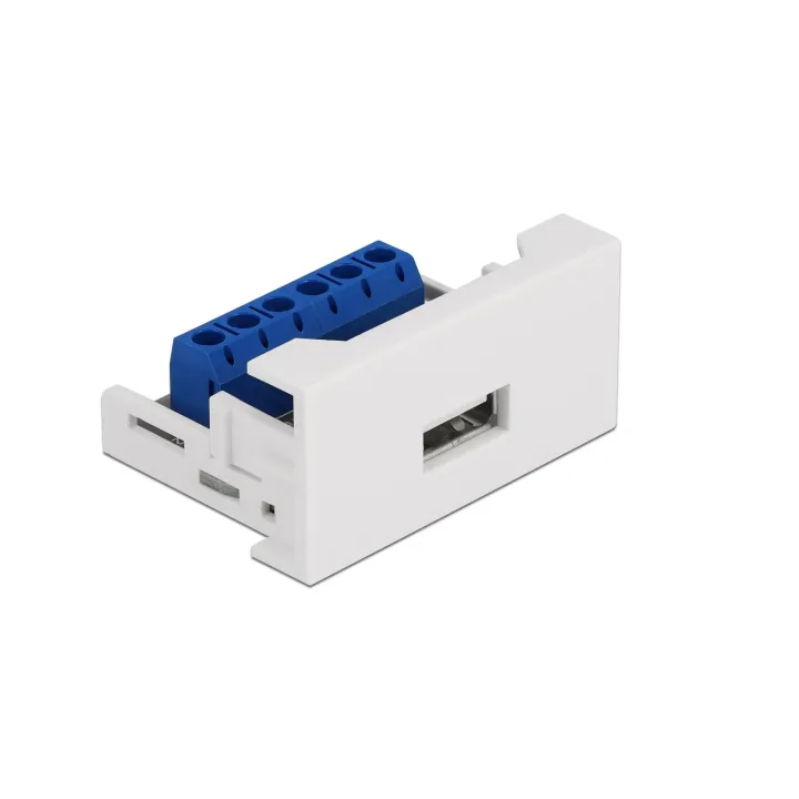 Delock Adaptateur USB 2.0 Easy 45 Module Bloc de terminaison - Prise USB A