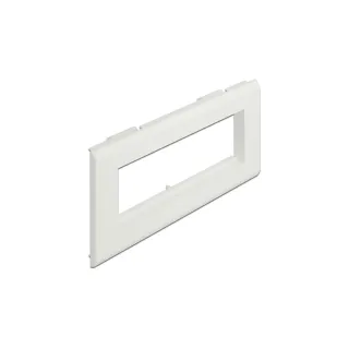 Delock Support de module Easy 45 pour goulotte d’installation 175 x 80 mm