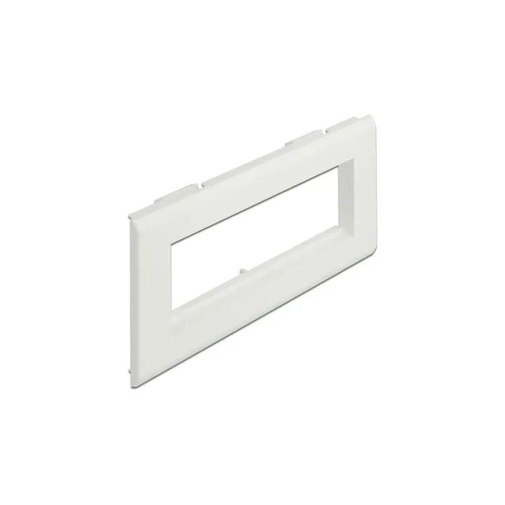 Delock Support de module Easy 45 pour goulotte d’installation 175 x 80 mm