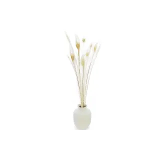 Soli Collection Plumes de paon 90 cm, blanc