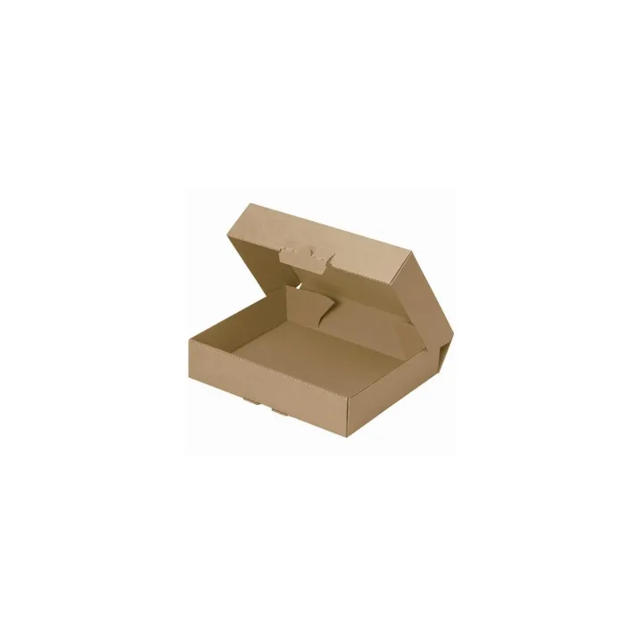 Brieger Carton d’expédition 30.1 x 21.3 x 4.5 cm, 1 pièce