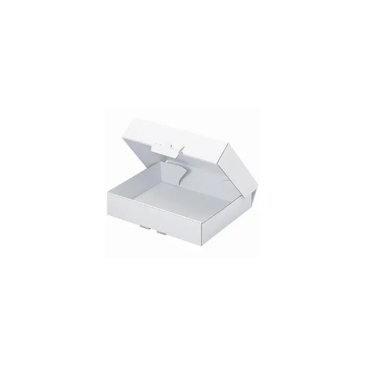 Brieger Carton d’expédition 15.5 x 11 x 45 cm, 1 pièce