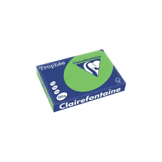 Clairefontaine Papier pour photocopie Trophée Colored Copy FSC A4, Vert, 120 g-m²