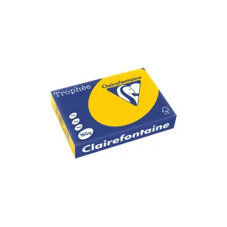 Clairefontaine Papier pour photocopie Trophée Colored Copy FSC A4, Jaune, 160 g-m²