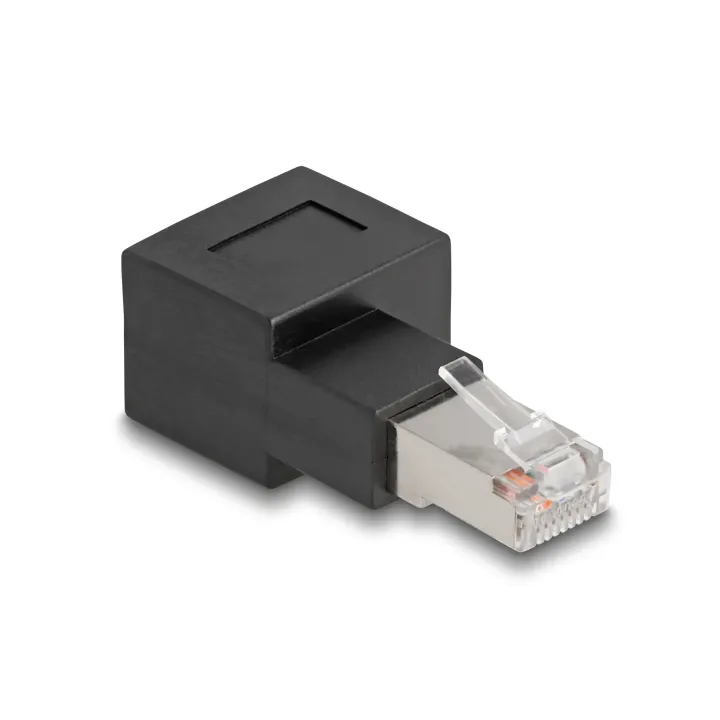 Delock Adaptateur d’angle 90° RJ45 vers la droite, Cat.6A 1 Pièce-s