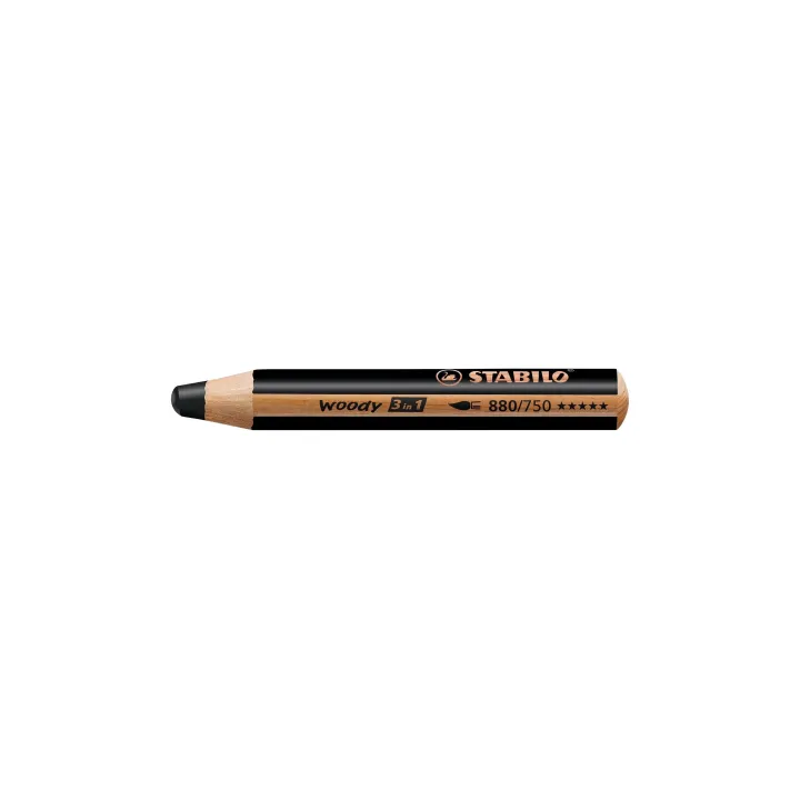 STABILO Crayons de couleur Woody 3 en 1 Noir