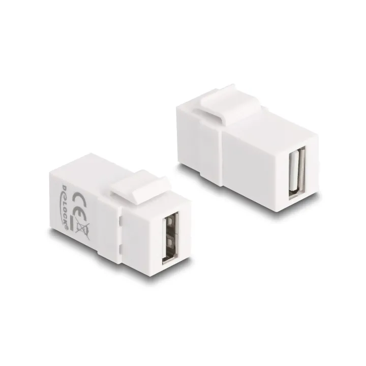 Delock Module Keystone USB 2.0 A Blanc