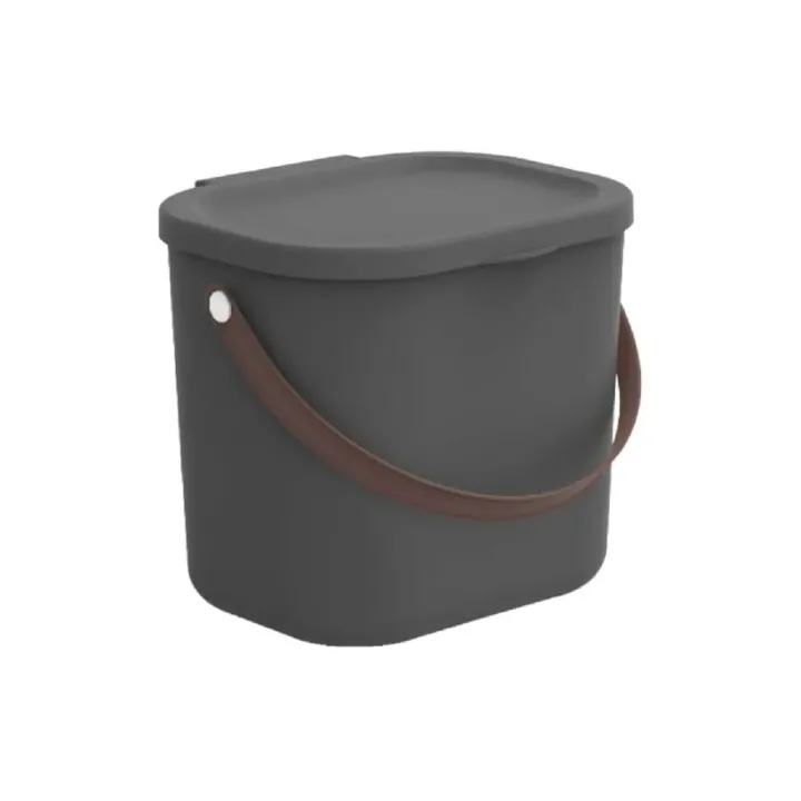 Rotho Boîte de rangement Albula 6 l, Anthracite