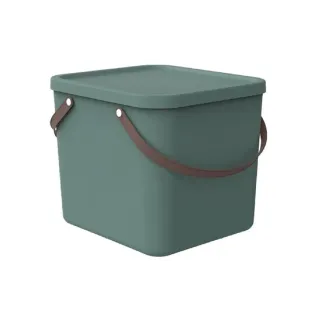 Rotho Boîte de rangement Albula 40 l, vert Mistletoe