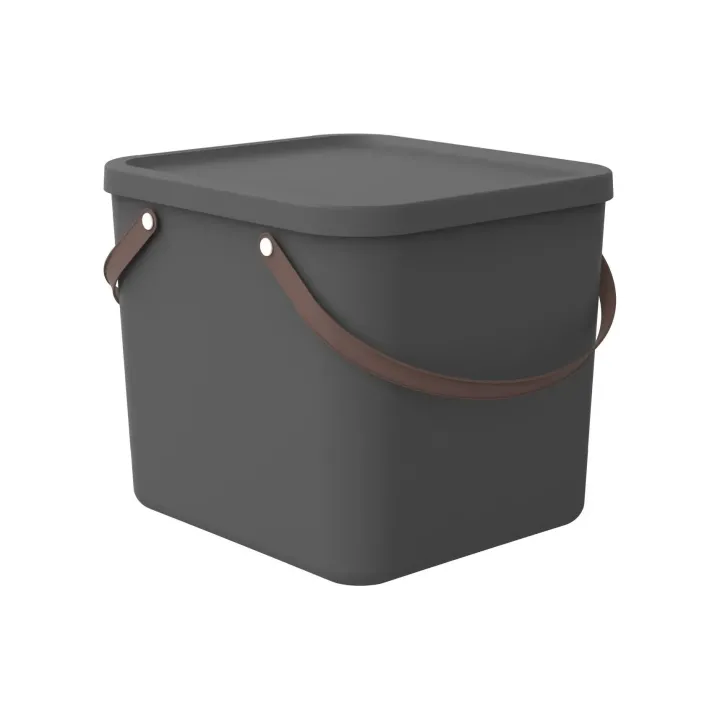 Rotho Boîte de rangement Albula 40 l, Anthracite