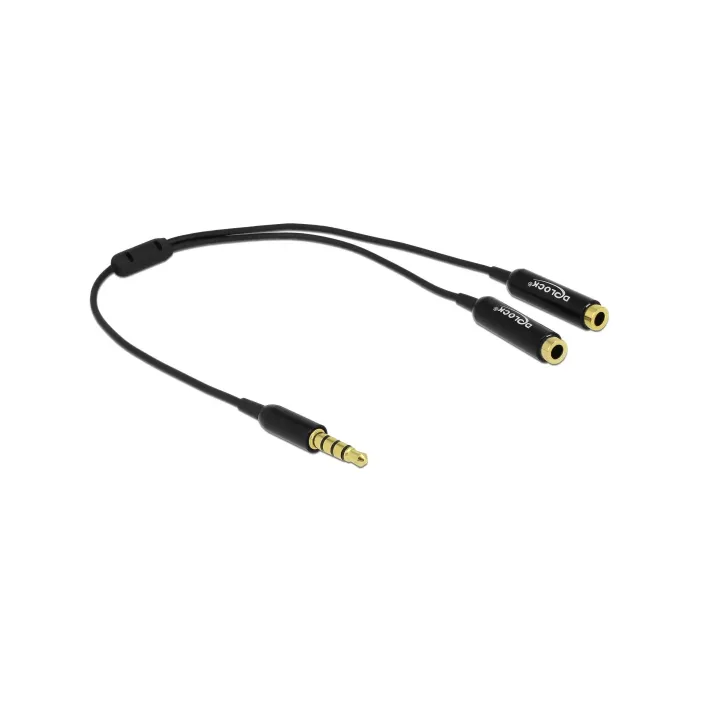 Delock Câble audio jack 3,5 mm, mâle - jack 3,5 mm, femelle 0.25 m