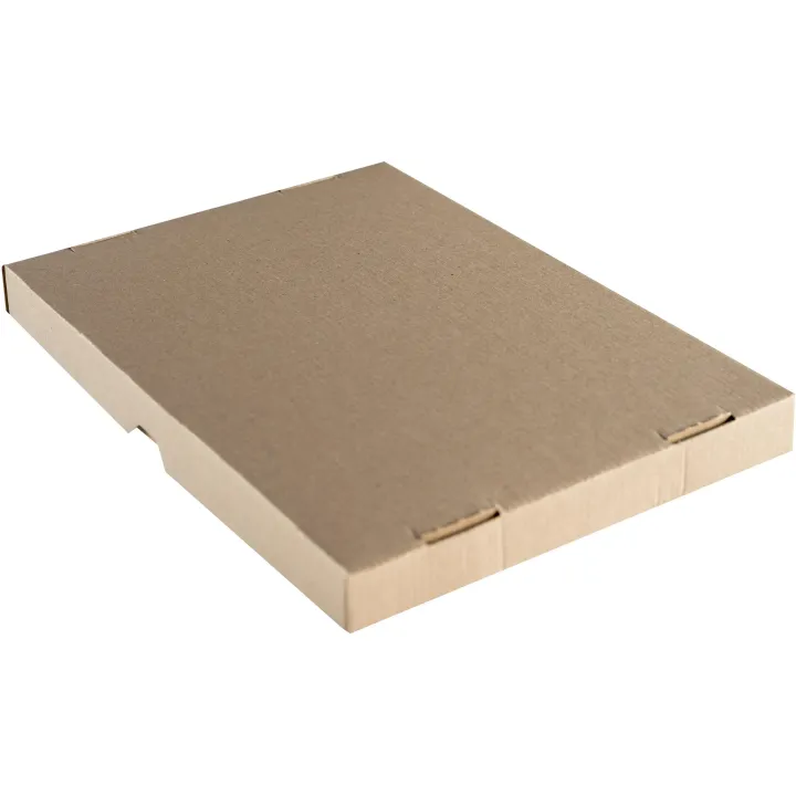 Brieger Carton d’expédition 214 x 151 x 25 mm, 1 Pièce-s