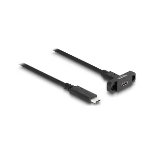 Delock Câbles rallonges à encastrer USB 3.0 USB C - USB C 1 m