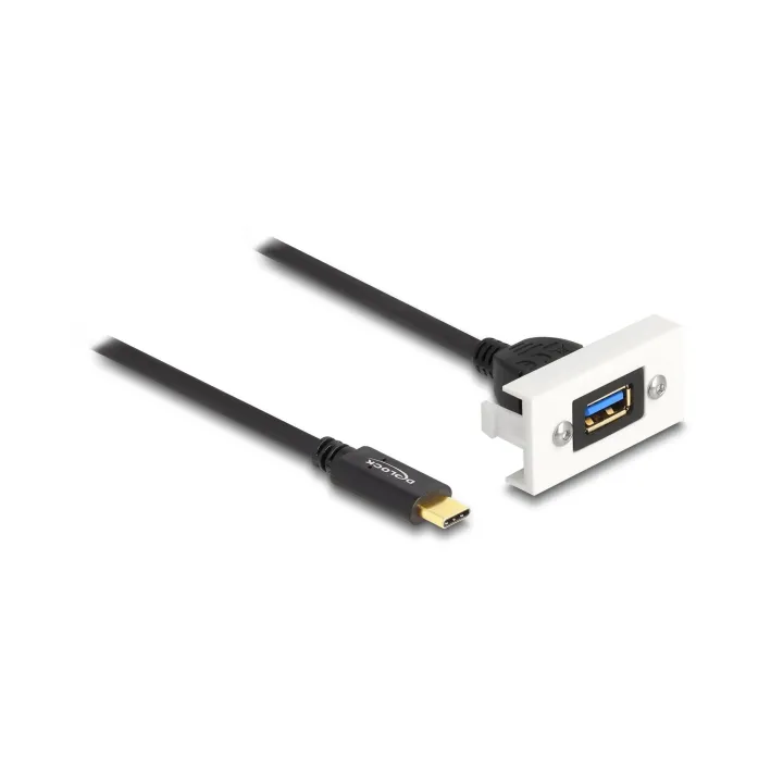 Delock Module Easy 45 SuperSpeed USB-A vers USB-C, fouet de câble