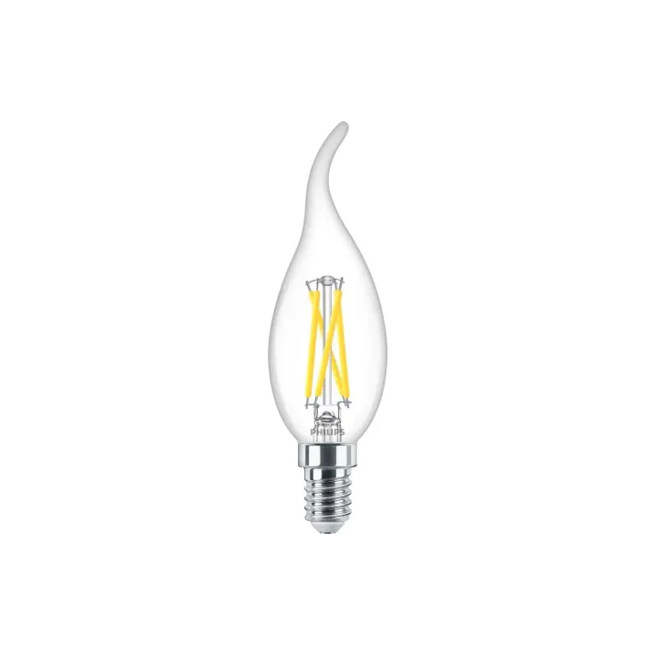 Philips Professional Lampe MAS LEDCandle DT2.5-25W E14 BA35 CL G
