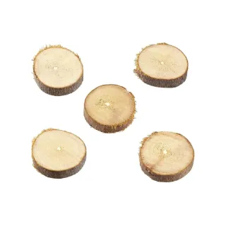 HobbyFun Disques en bois Mini-ustensiles 20 mm, 10 pièces