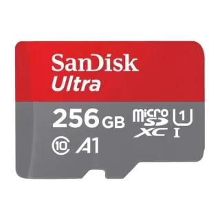 SanDisk Carte microSDXC Ultra 256 GB