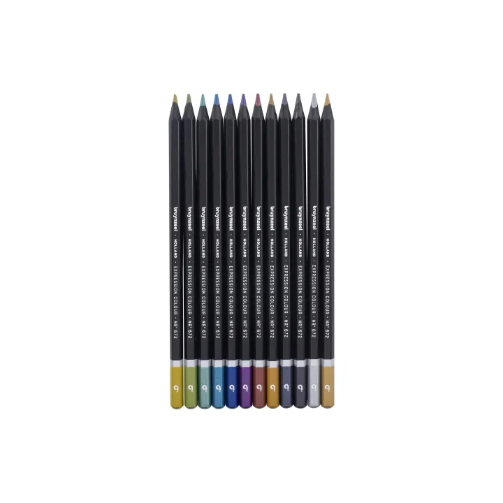 Bruynzeel Crayons de couleur Métallique 12 pièces