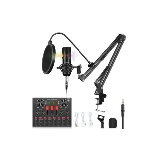 Puluz Microphone Podcast Studio Set