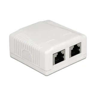 Delock Boîtier RJ45 Cat.6A LSA 2 fois