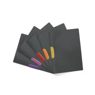 DURABLE Chemises à clip DuraswingColor  anthracite