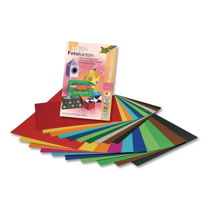 Folia Papier cartonné 22 x 33 cm 10 feuilles de 10 couleurs chacune