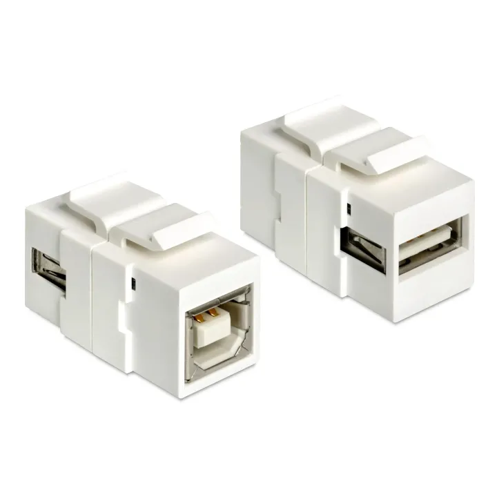 Delock Module Keystone USB 2.0, A – B, (f-f) Blanc