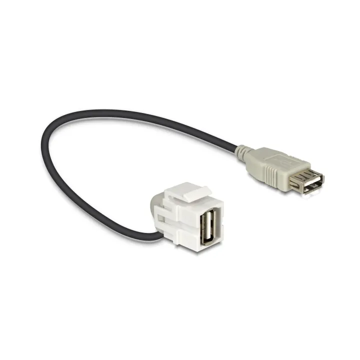 Delock Module Keystone USB2.0, A - A, (f-f) coudé à 110°, blanc