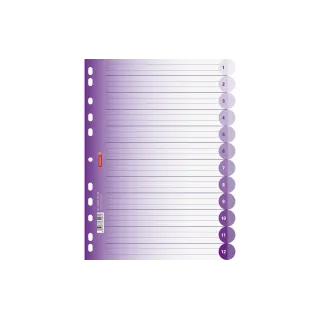 Brunnen Registre A4 Colour Code Purple 1-12
