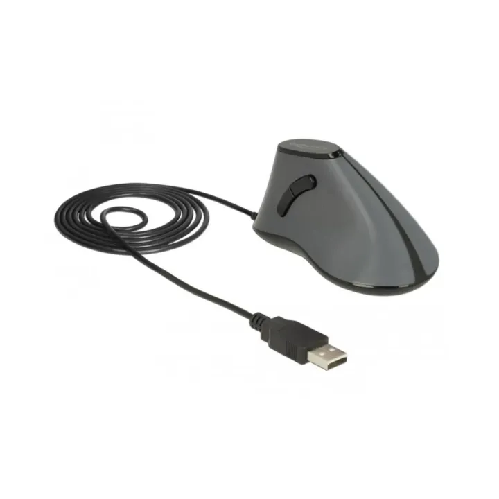 Delock Souris ergonomique 12527 USB