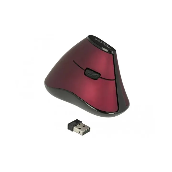 Delock Souris ergonomique 12528 USB  sans fil