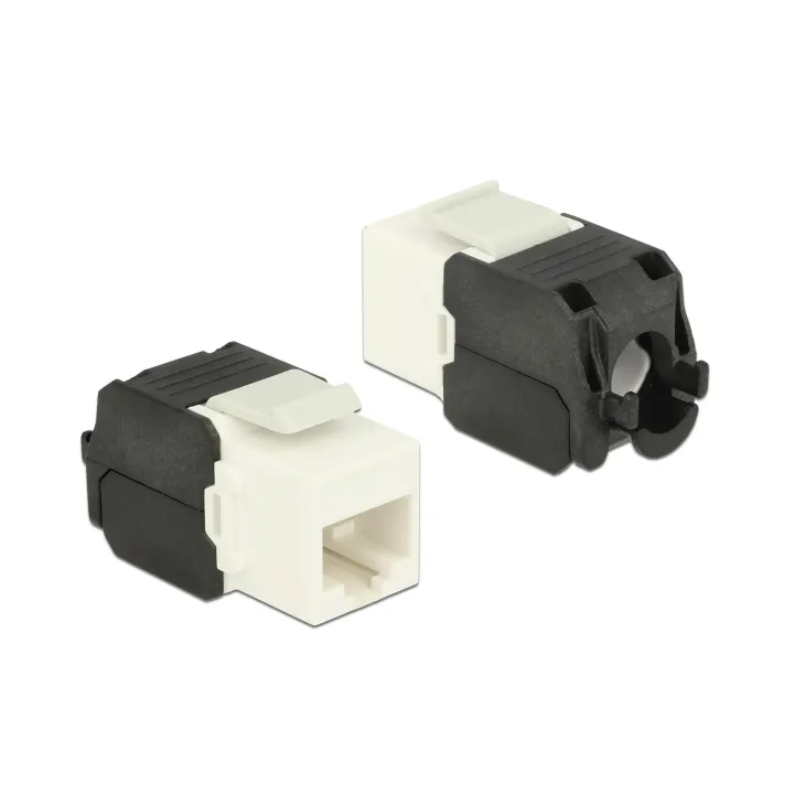 Delock Module Keystone RJ-45 Cat.6A, UTP Blanc