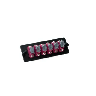 Lightwin Plaque frontale MTPC 6MTP OM4 magenta