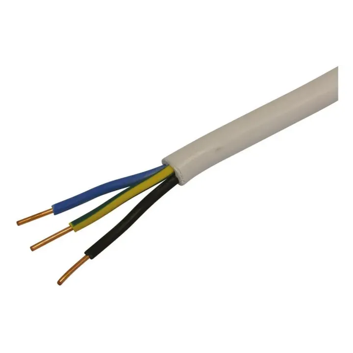 STEFFEN Câble d’installation TT 3x 1.5 mm2 5 m Blanc