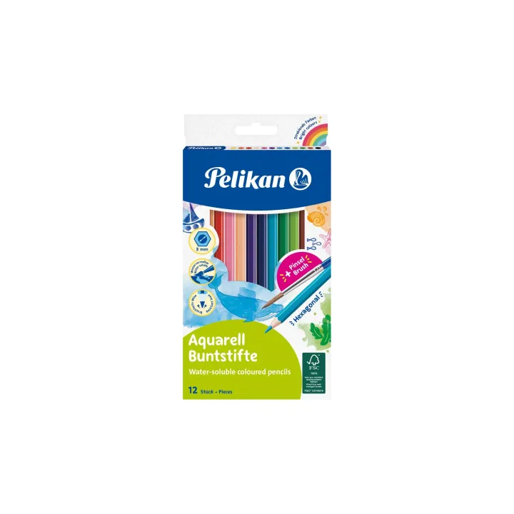 Pelikan Crayons de couleur Aquarelle Lot de 12