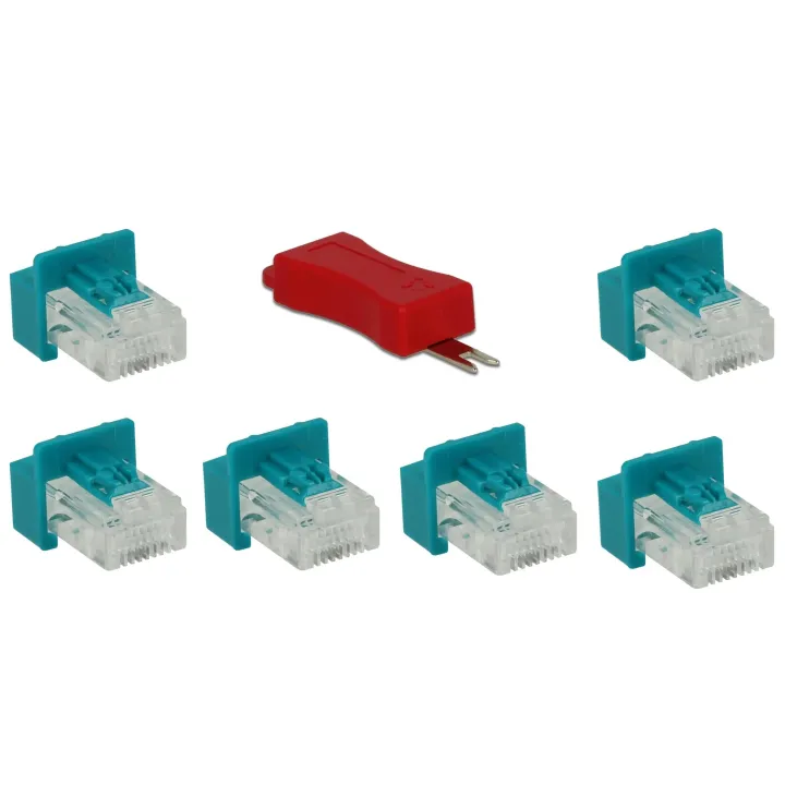 Delock Clip Verrouillage de port RJ45  y compris jeu de chevilles 6 pièces