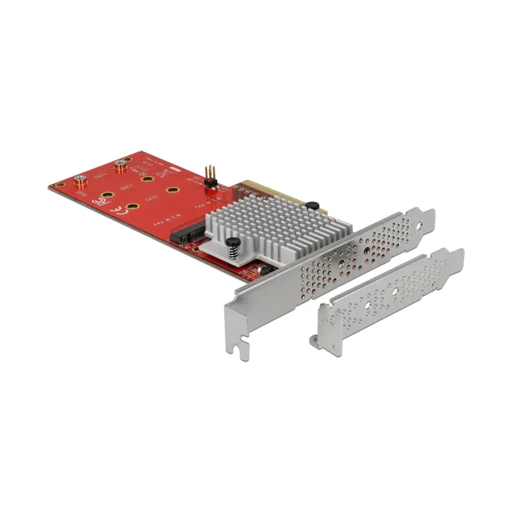 Delock Adaptateur de bus hôte 2x NVME M.2 SSDs, PCI-Ex8, amorçable