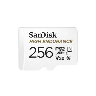 SanDisk Carte microSDXC High Endurance UHS-I 256 GB