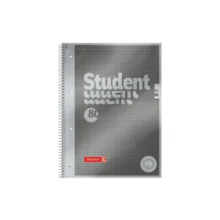 Brunnen Bloc-notes de collège Premium Student Protocole A4, quadrillé, argenté