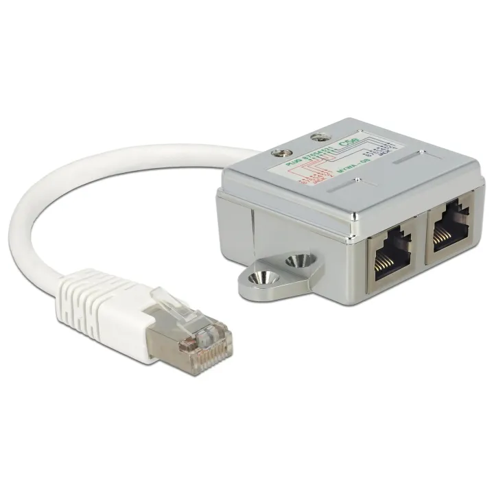 Delock Adaptateur double port 2x 100Mbps LAN 1 Pièce-s