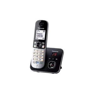 Panasonic Téléphone sans fil KX-TG6821SLB Noir