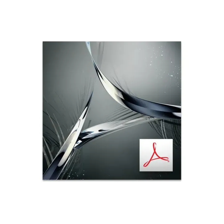 Adobe Acrobat Standard DC Version complète, Niveau 2-10-49, 1 an, MP