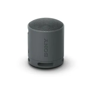 Sony Haut-parleur Bluetooth SRS-XB100 Noir