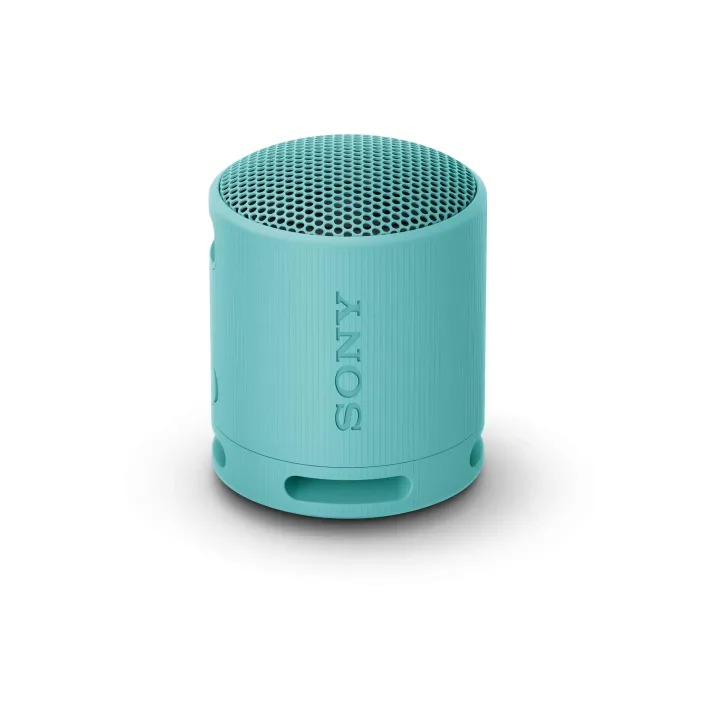 Sony Haut-parleur Bluetooth SRS-XB100 Bleu