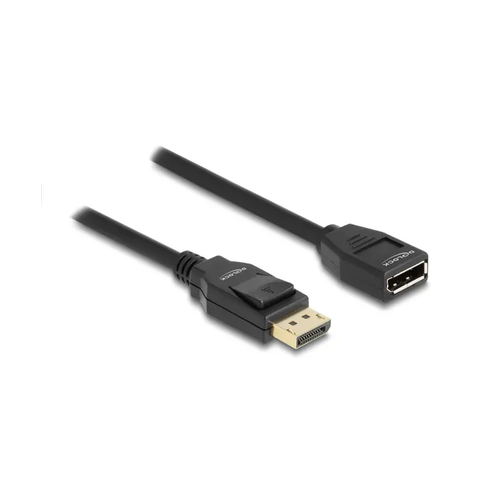 Delock Câble de prolongation 4K 60 Hz DisplayPort - DisplayPort, 1 m