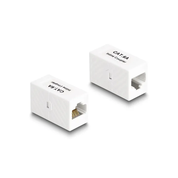 Delock Accouplement RJ45 - RJ45, Cat.6A, UTP 1 Pièce-s