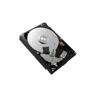 DELL Disque dur 161-BBZP 3.5 SATA 1 TB