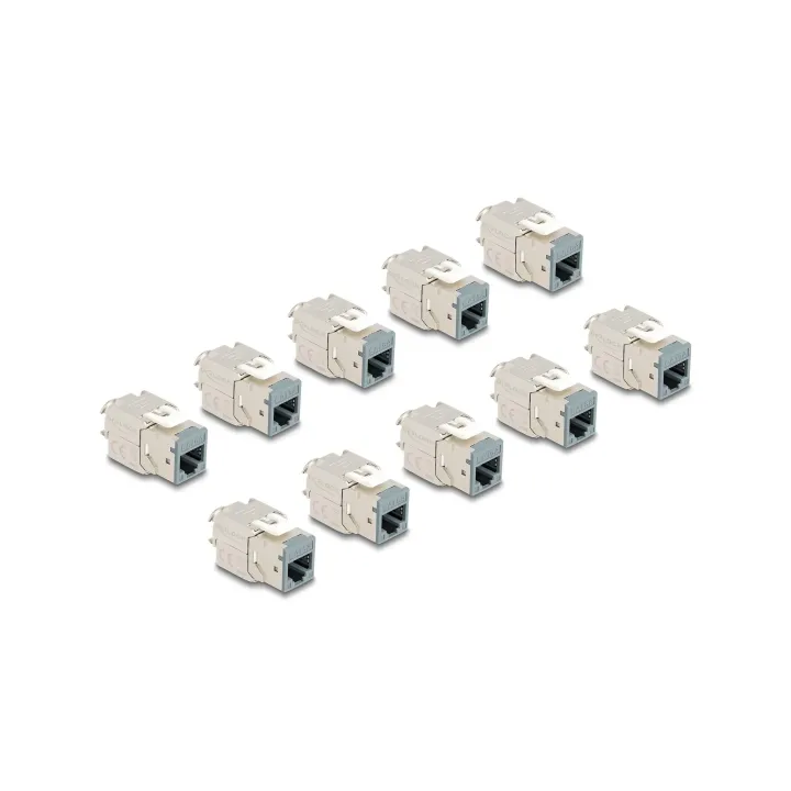 Delock Module Keystone RJ45 vers LSA Cat.6A Gris, 10 unités